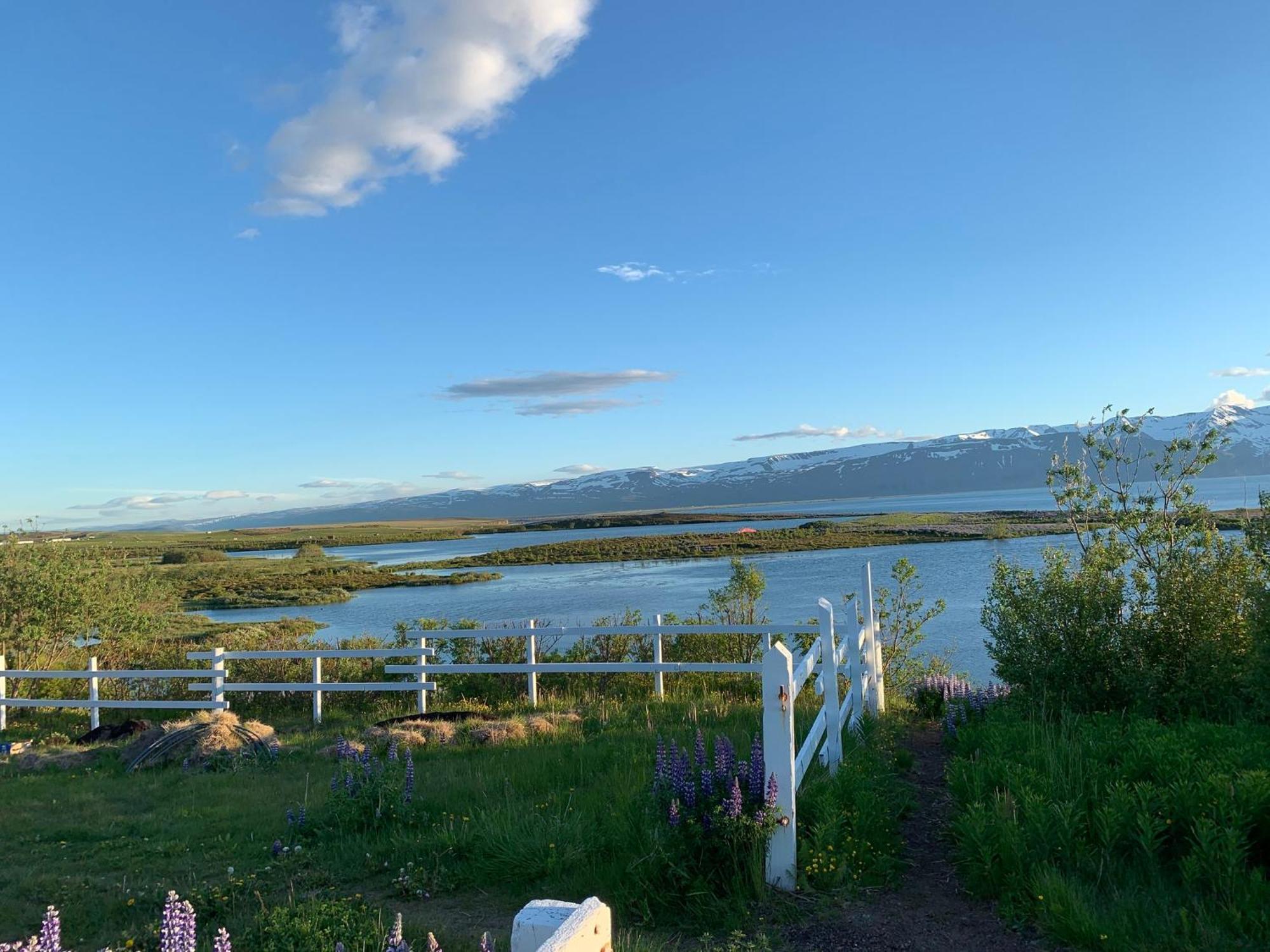 Kaldbaks-Kot Cottages Húsavík Dış mekan fotoğraf