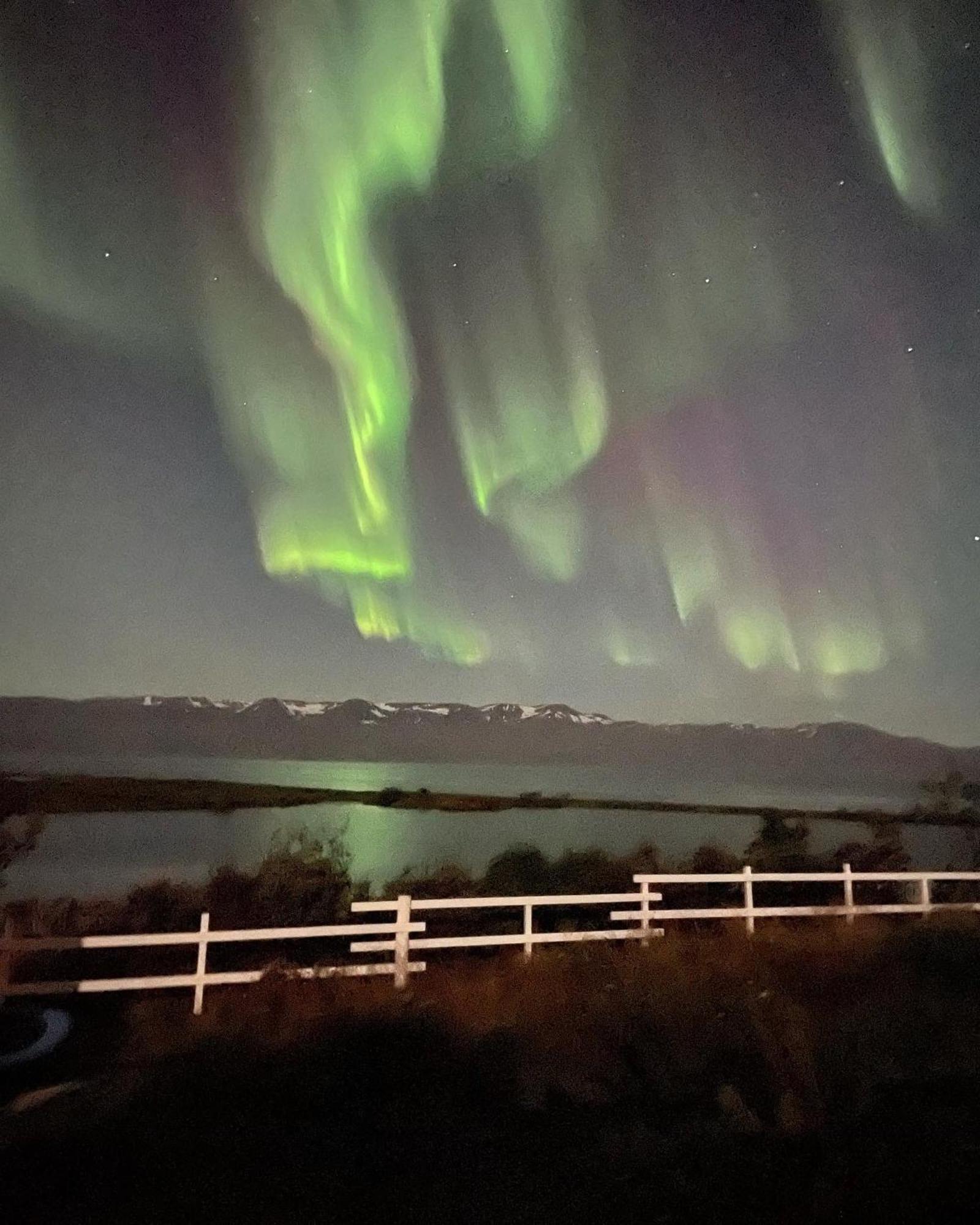 Kaldbaks-Kot Cottages Húsavík Dış mekan fotoğraf